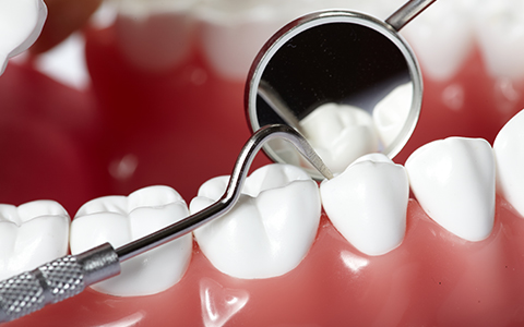 Hygienist